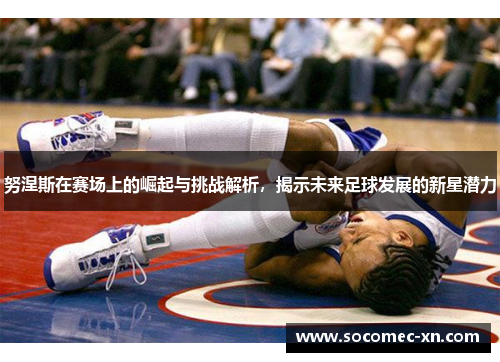 努涅斯在赛场上的崛起与挑战解析，揭示未来足球发展的新星潜力