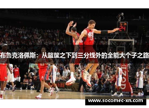 布鲁克洛佩斯：从篮筐之下到三分线外的全能大个子之路