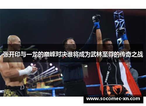 张开印与一龙的巅峰对决谁将成为武林至尊的传奇之战